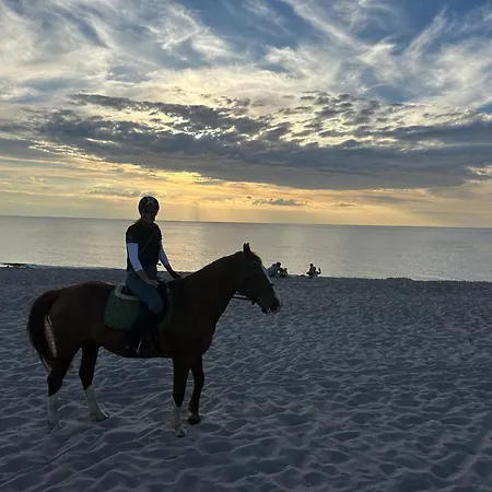 Natura Health Domek alpejski *