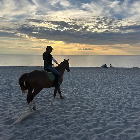 Domek alpejski Natura Health *